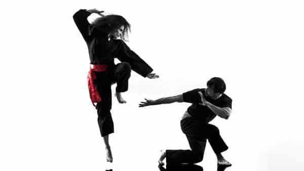 arts-martiaux-II-600x338